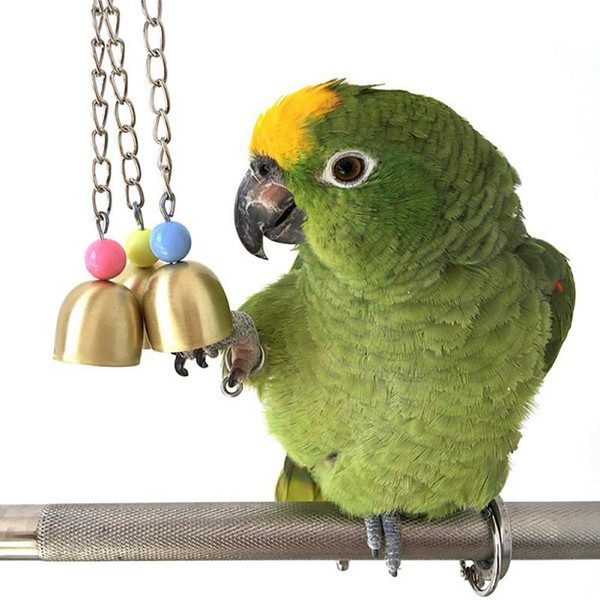 Aves